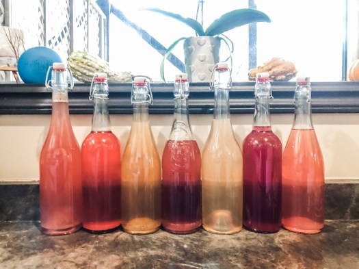 Fermented Soda Flavours (from left to right)